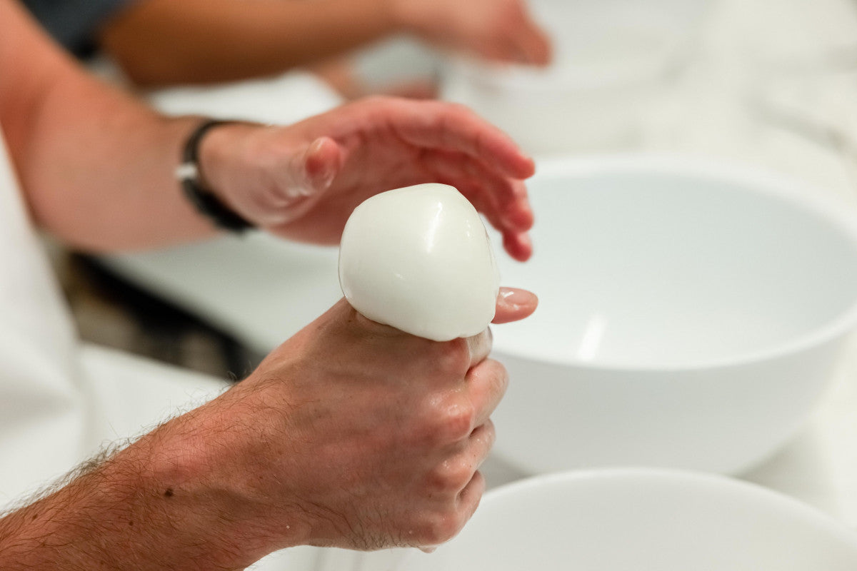 Orgasta