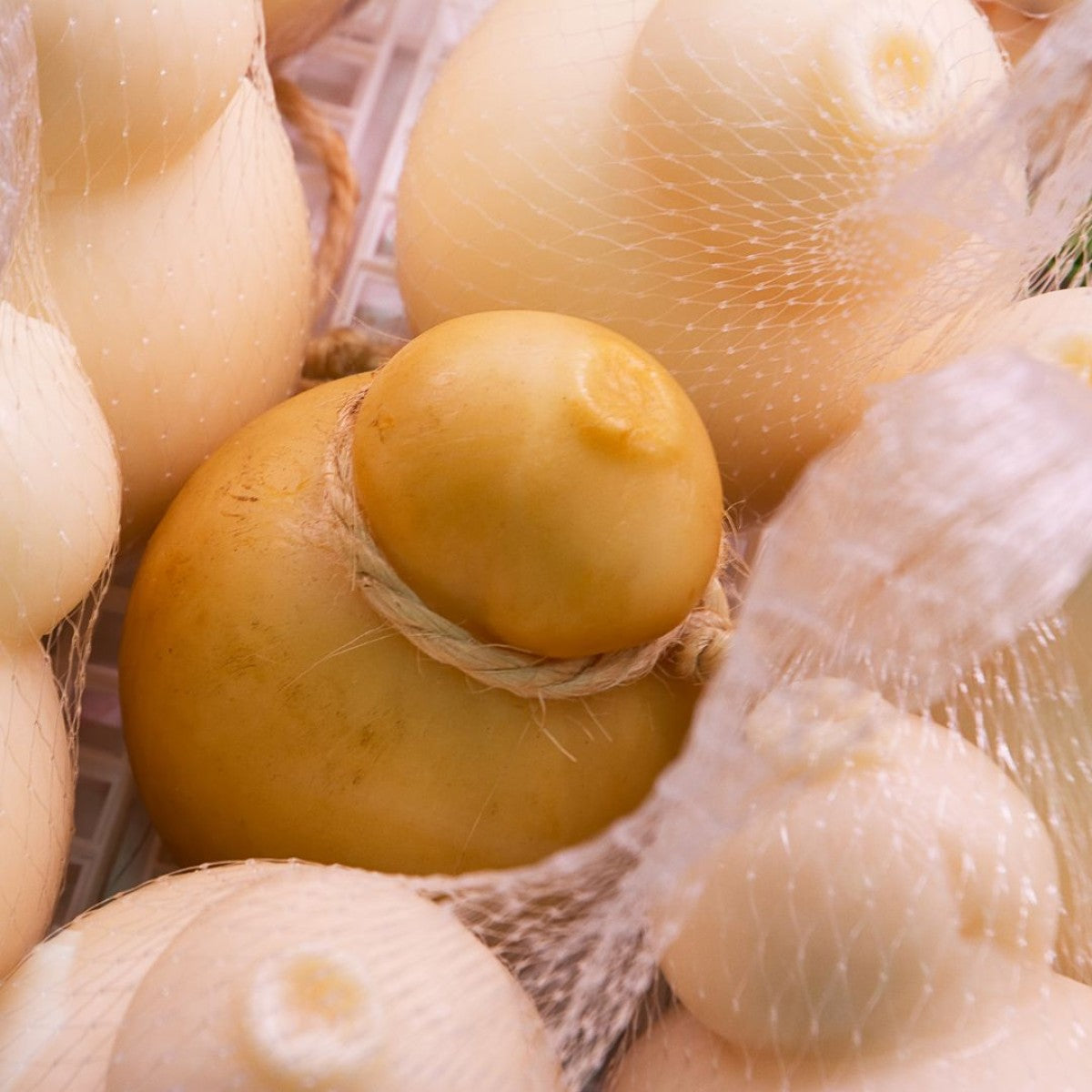 Atelier Scamorza artisanale